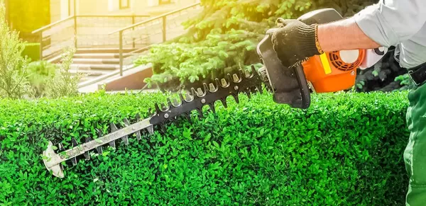 Poda de cerca viva Curitiba