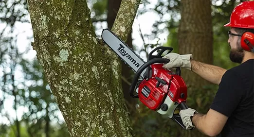 Poda de árvores no Santa Felicidade
