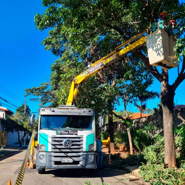 Empresa de poda de árvores Curitiba contato